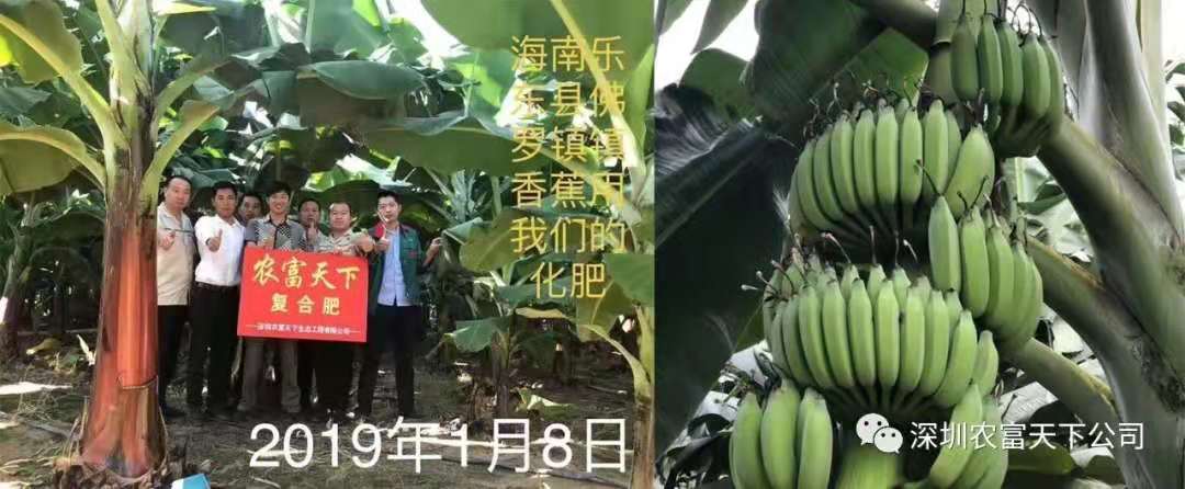 微信圖片_201910010947122